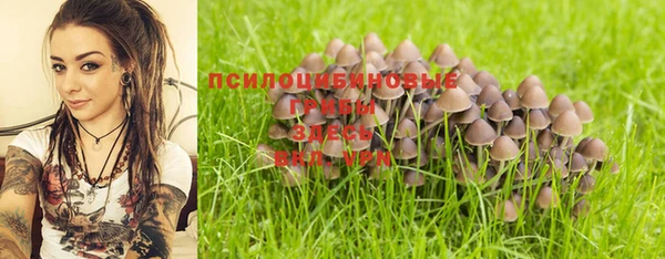 мдпв Киренск
